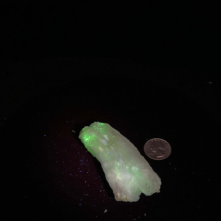 "Rams Horn" Selenite Gypsum Specimen  w/ Novacekite (74g)