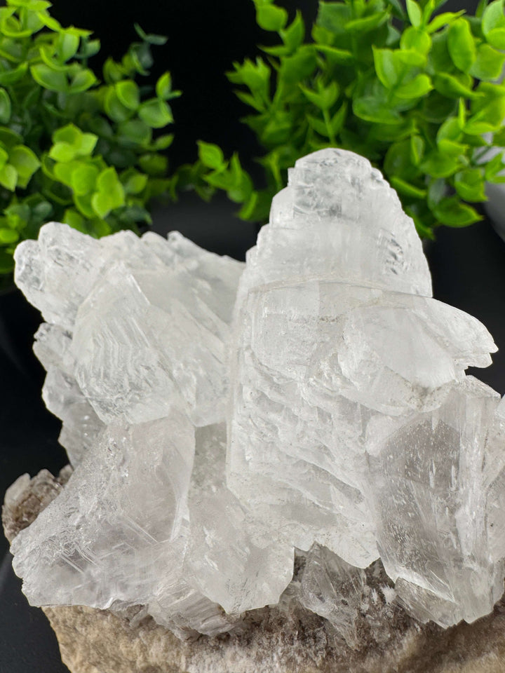 "Fishtail" Selenite /  Gypsum Specimen - Sierra Mojada, Mexico