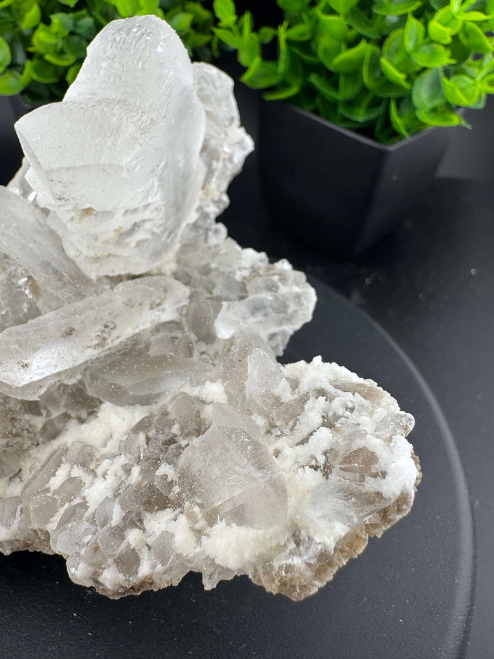 "Fishtail" Selenite /  Gypsum Specimen - Sierra Mojada, Mexico