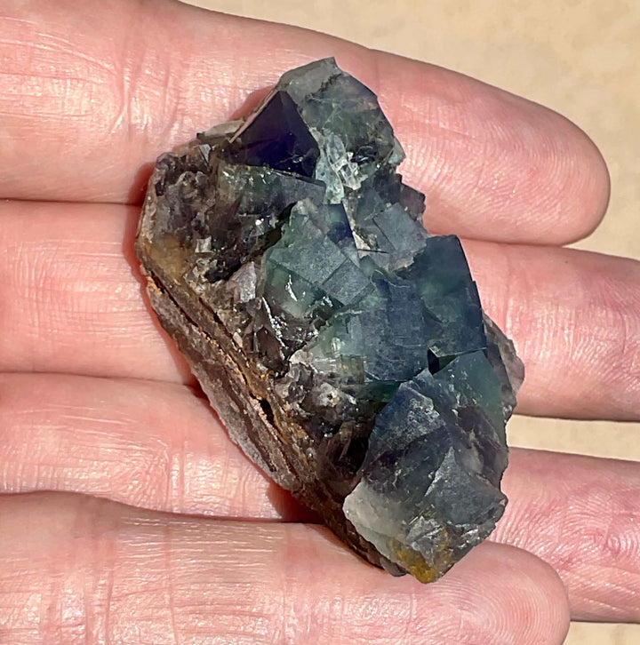 Diana Maria Fluorite - Hidden Forest Pocket (I)