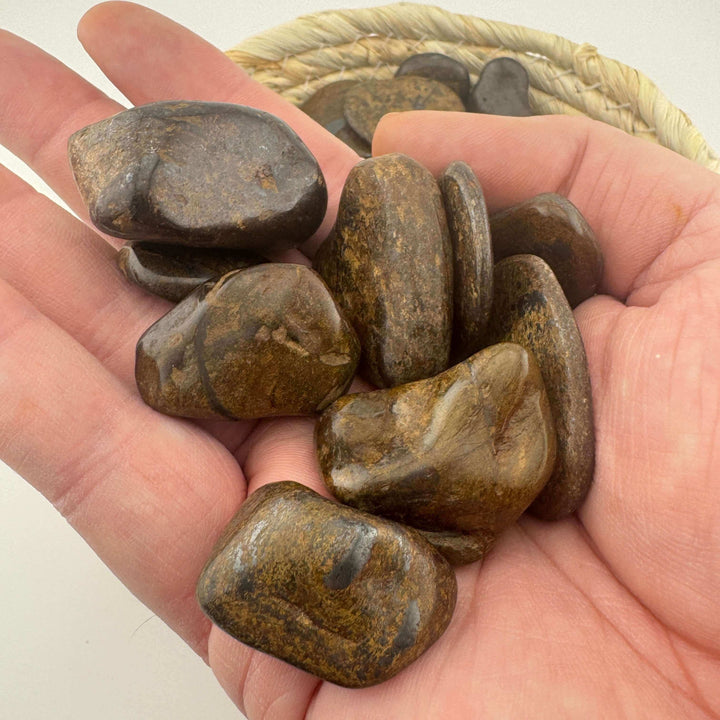 Bronzite Tumbles (4pc)