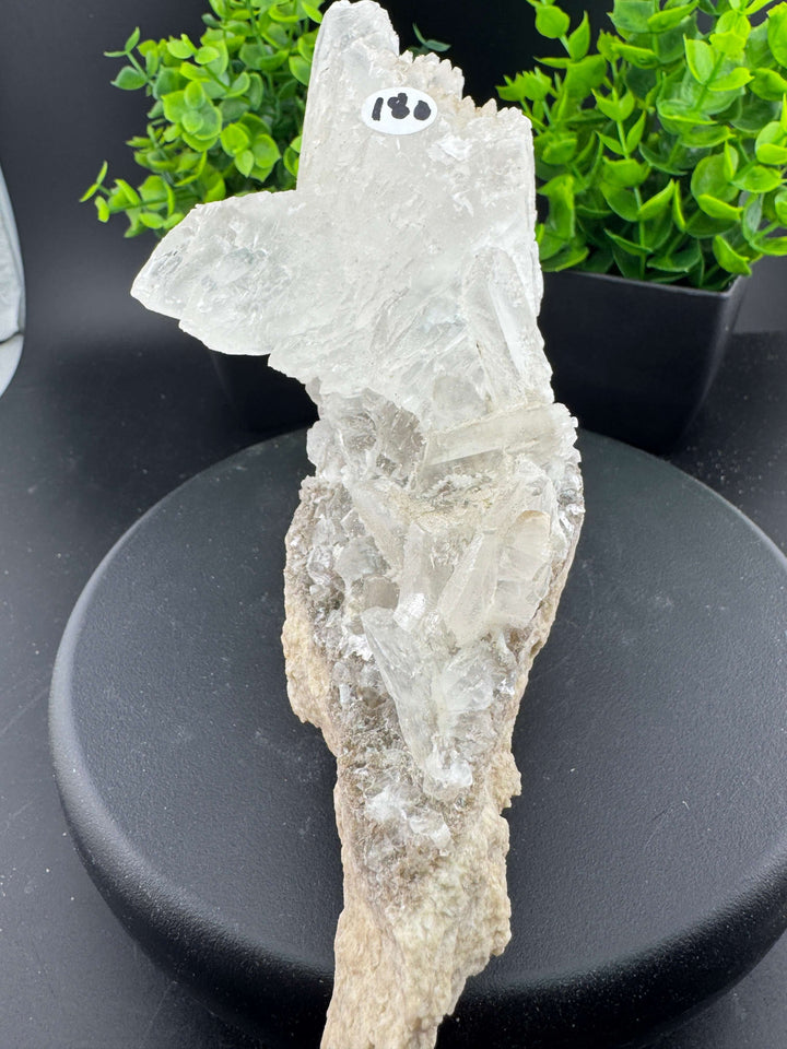 "Fishtail" Selenite /  Gypsum Specimen - Sierra Mojada, Mexico