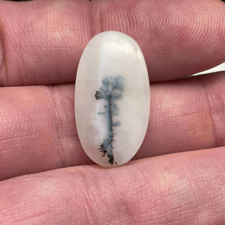 White Dendritic Opal Cabochons