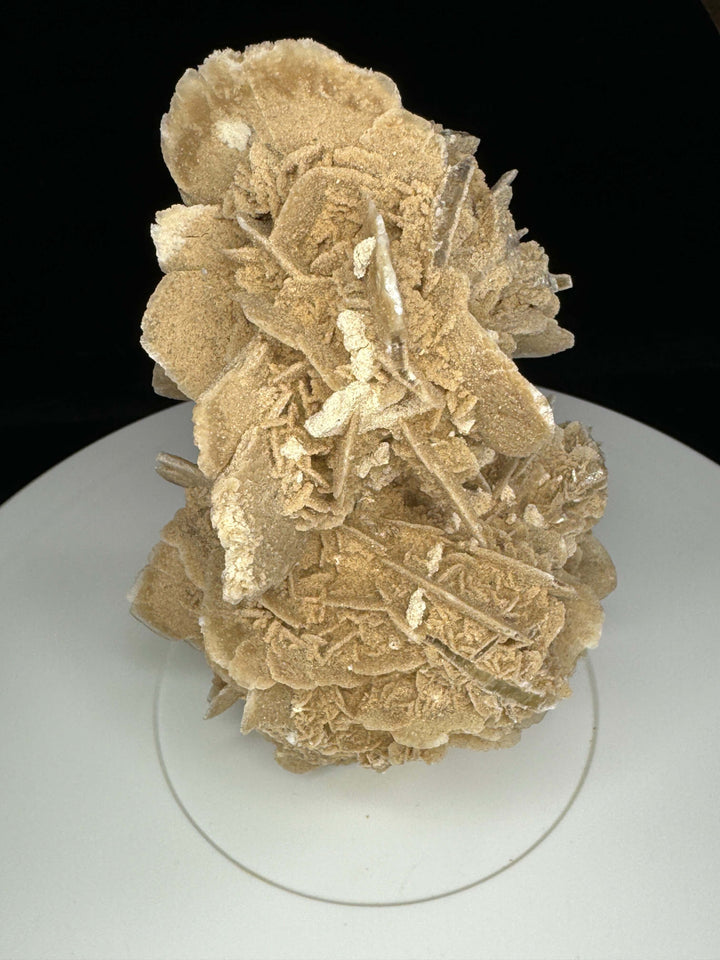Sand Selenite Desert Rose Gypsum - Mexico