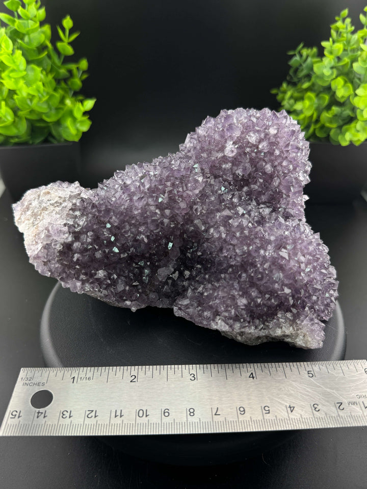 Amethyst Cluster - Uruguay