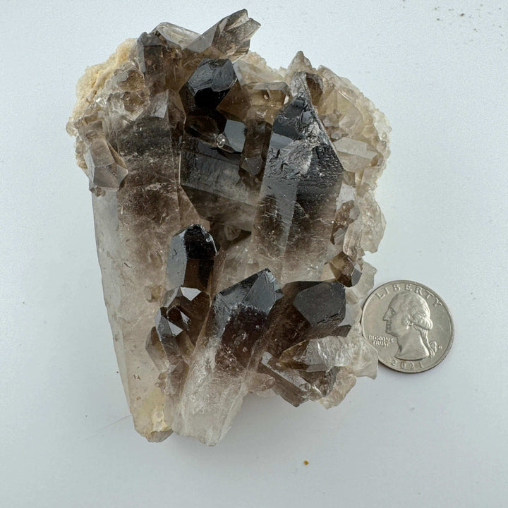 Smokey Quartz Cluster