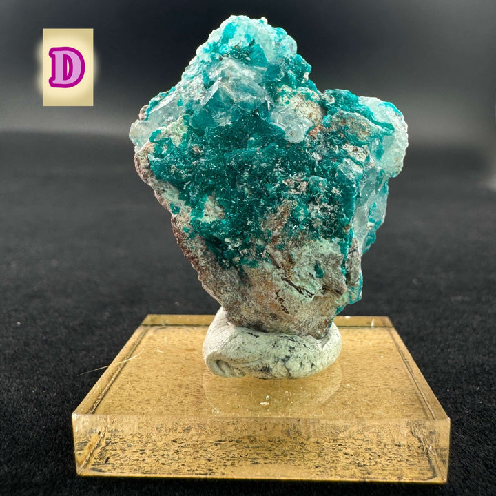 Quartz w/ Chrysocolla and Shattuckite (Small)- Milpillas, Mexico