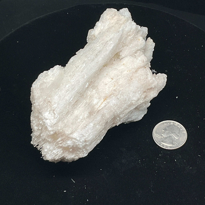 "Rams Horn" Selenite Gypsum Specimen w/ Novacekite  (330g)