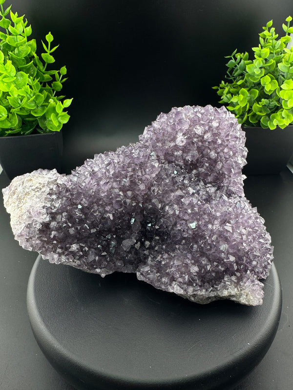 Amethyst Cluster - Uruguay