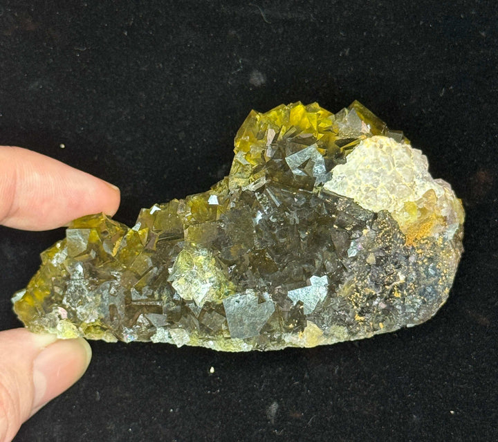 Fluorite, Okorusu Mine, Otjiwarongo, Namibia