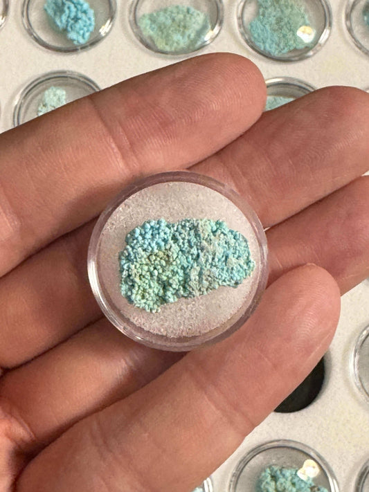 Turquoise - Alacran