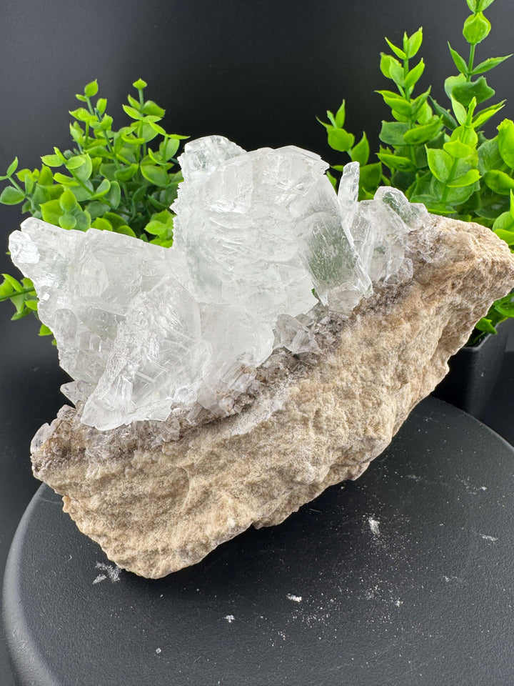 "Fishtail" Selenite /  Gypsum Specimen - Sierra Mojada, Mexico