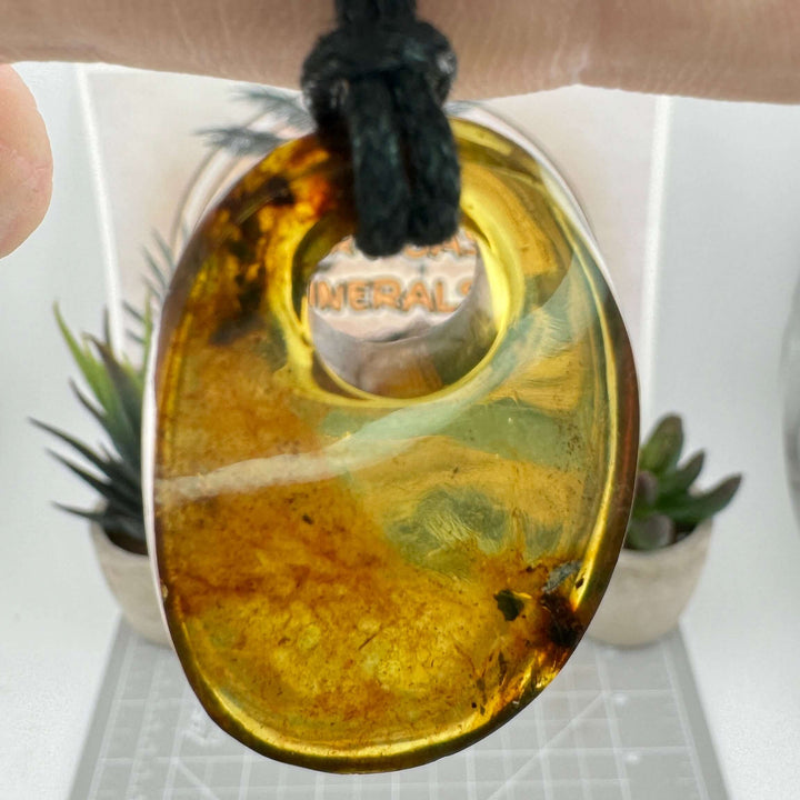 Chiapas Amber Pendant