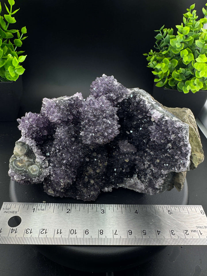 Amethyst Cluster - Uruguay