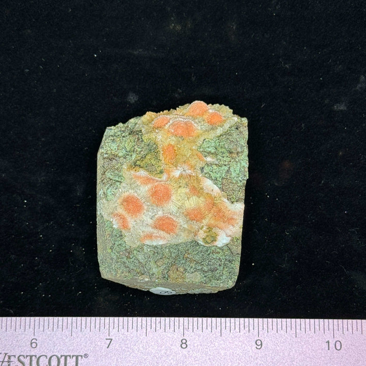 Thomsonite Specimen, India