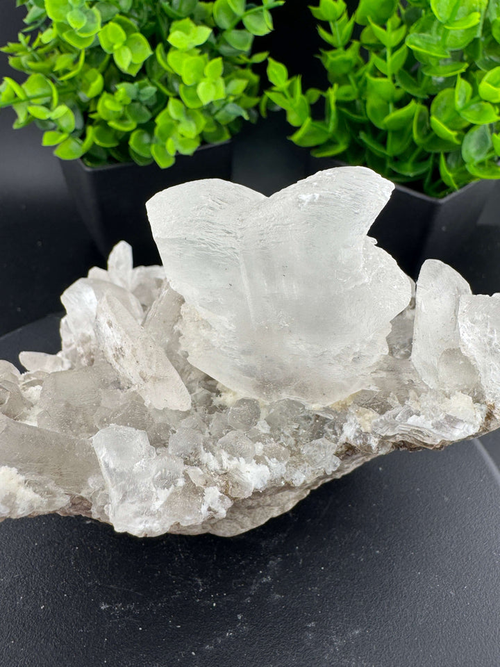 "Fishtail" Selenite /  Gypsum Specimen - Sierra Mojada, Mexico