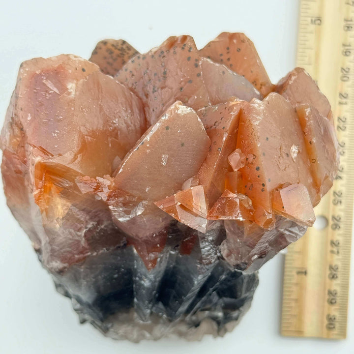 Monarch “Butterfly” Calcite - Mexico