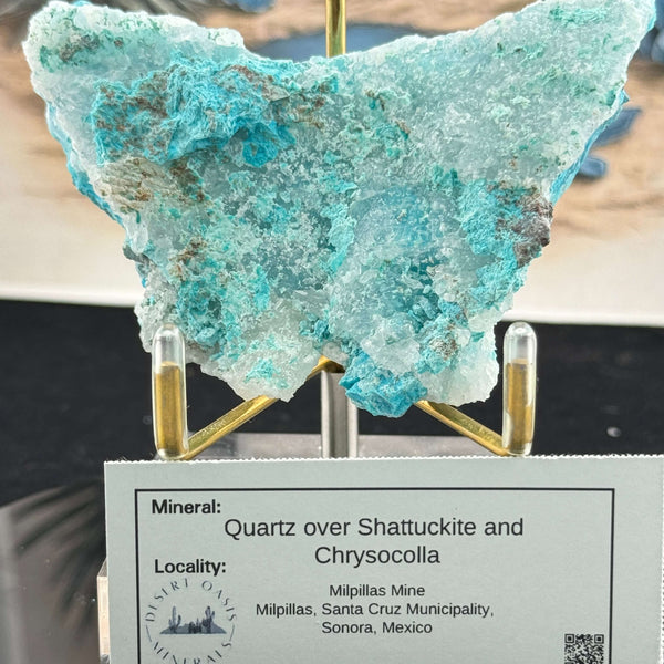 Quartz w/ Chrysocolla and Shattuckite - Milpillas, Mexico