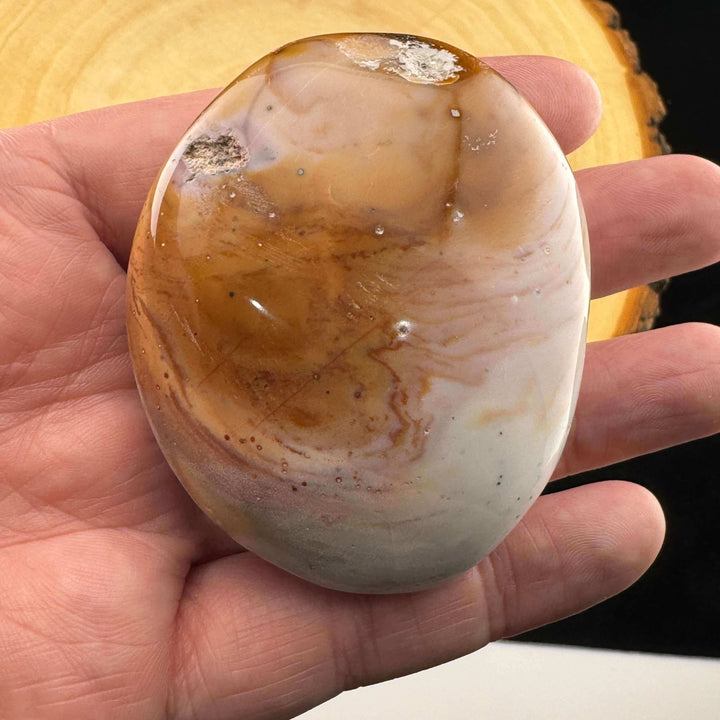 Orbicular Jasper Palm Stone