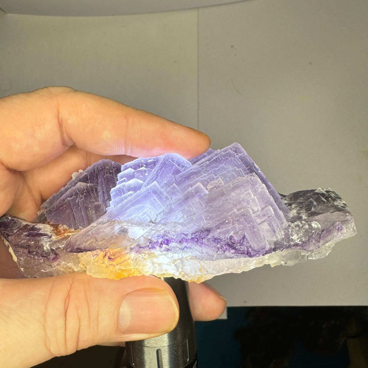 El Filo Fluorite - Mexico - 240g