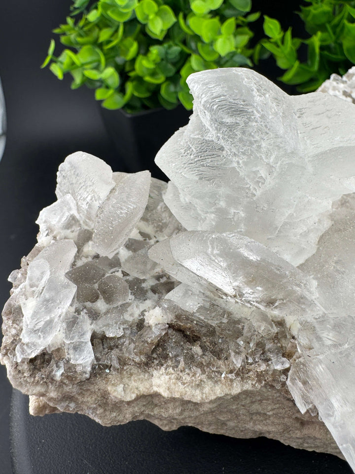 "Fishtail" Selenite /  Gypsum Specimen - Sierra Mojada, Mexico