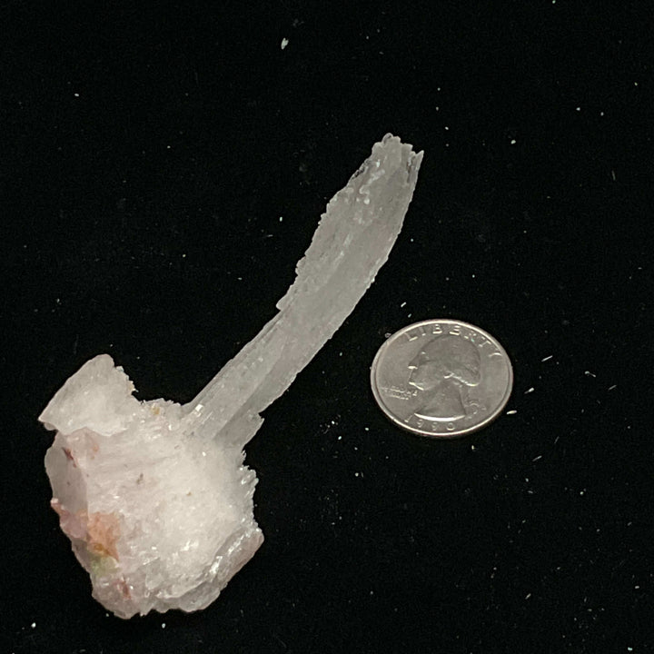 "Rams Horn" Selenite Gypsum Specimen w/ Novacekite  (30g)