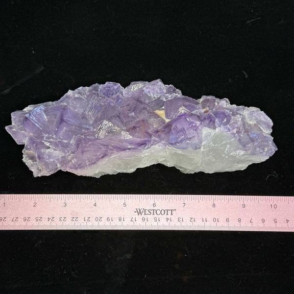 El Filo Fluorite - Mexico