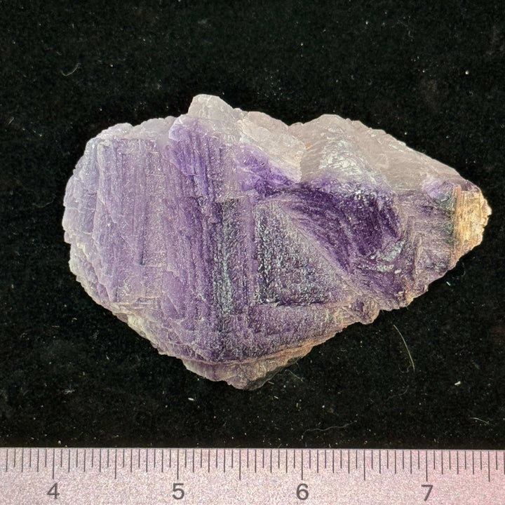 El Filo Fluorite - Mexico