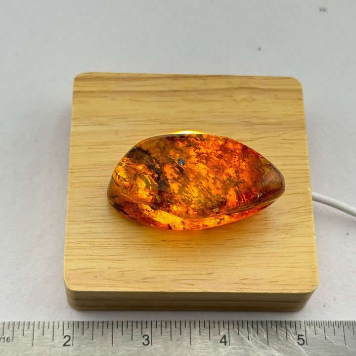 Chiapas Amber Free Form - Chiapas, Mexico