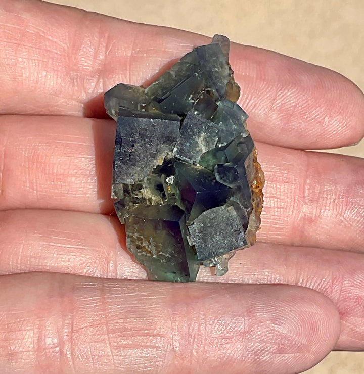 Diana Maria Fluorite - Hidden Forest Pocket (K)