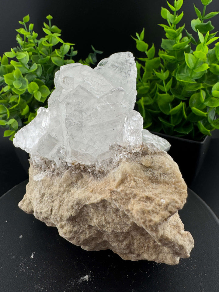 "Fishtail" Selenite /  Gypsum Specimen - Sierra Mojada, Mexico