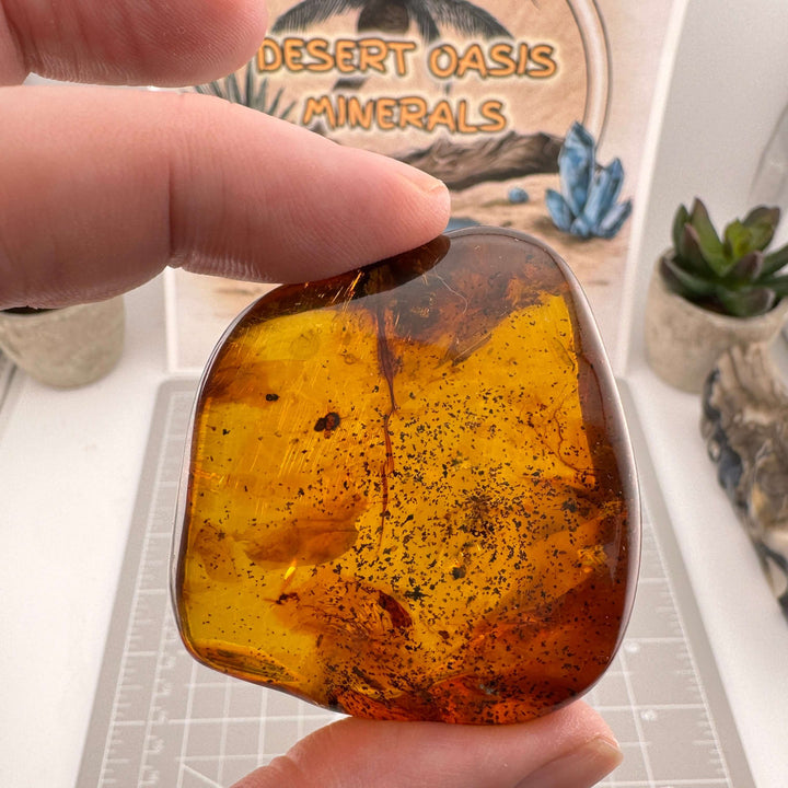 Chiapas Amber Free Form - Chiapas, Mexico