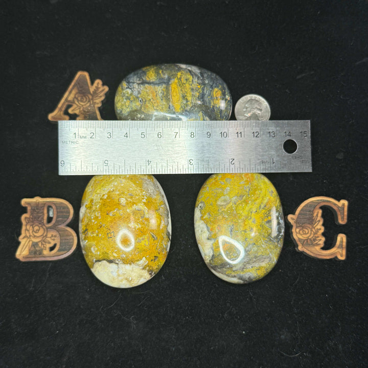 Bumblebee Jasper Palm Stone - Indonesia