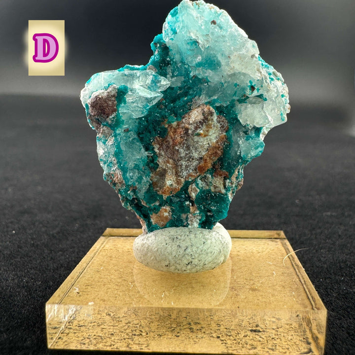 Quartz w/ Chrysocolla and Shattuckite (Small)- Milpillas, Mexico