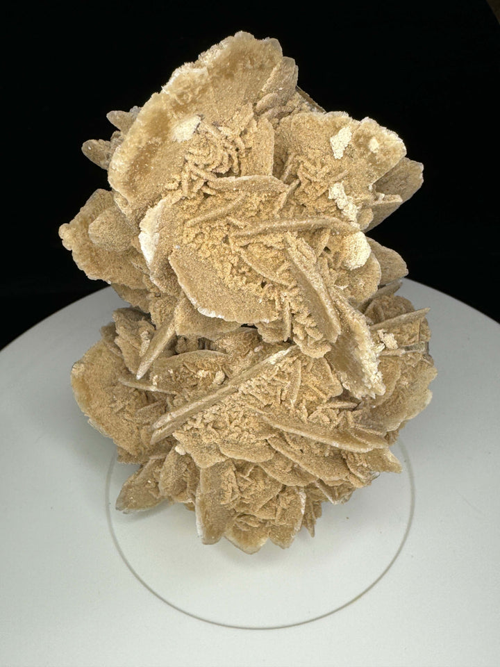 Sand Selenite Desert Rose Gypsum - Mexico