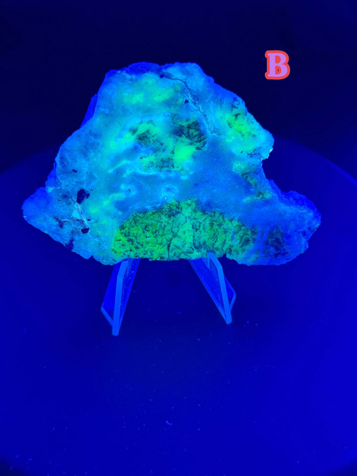 Morado Opal, also known as Mexican opal, is a beautiful purple variety of common opal found in central Mexico. It was discovered in 2011 and is one of the most affordable opals available, making it a popular choice for jewelry and other decorative items.W