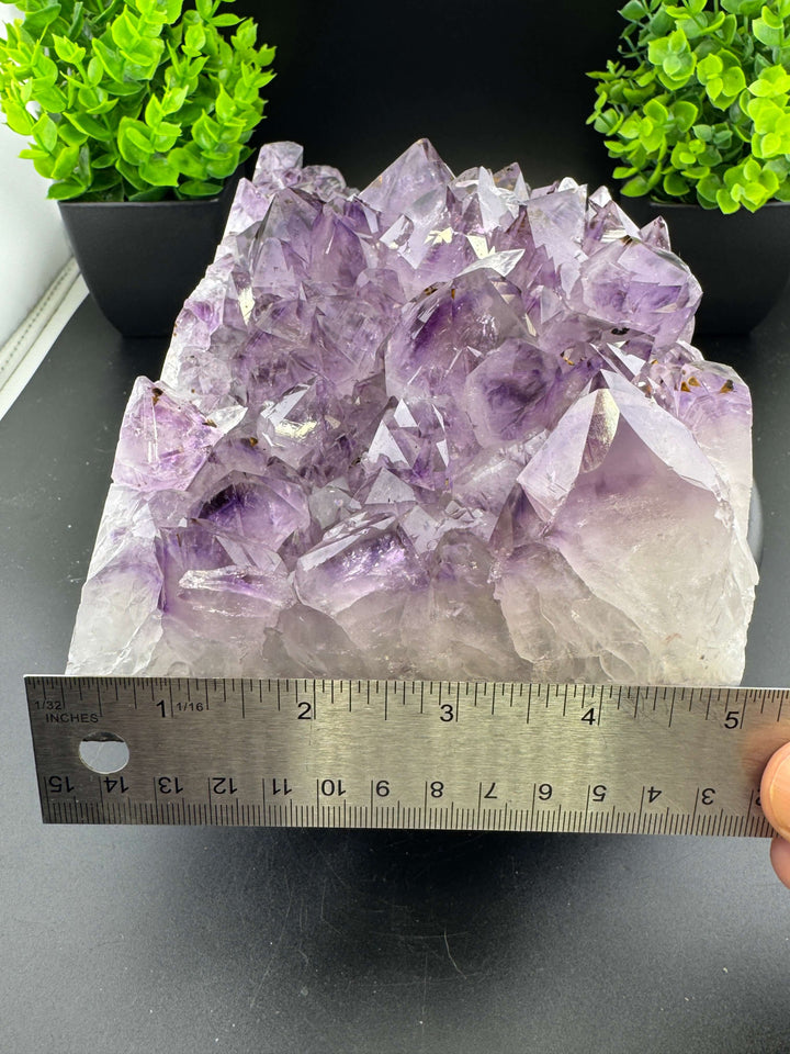 Amethyst Cluster with Golden Rutile - Brazil