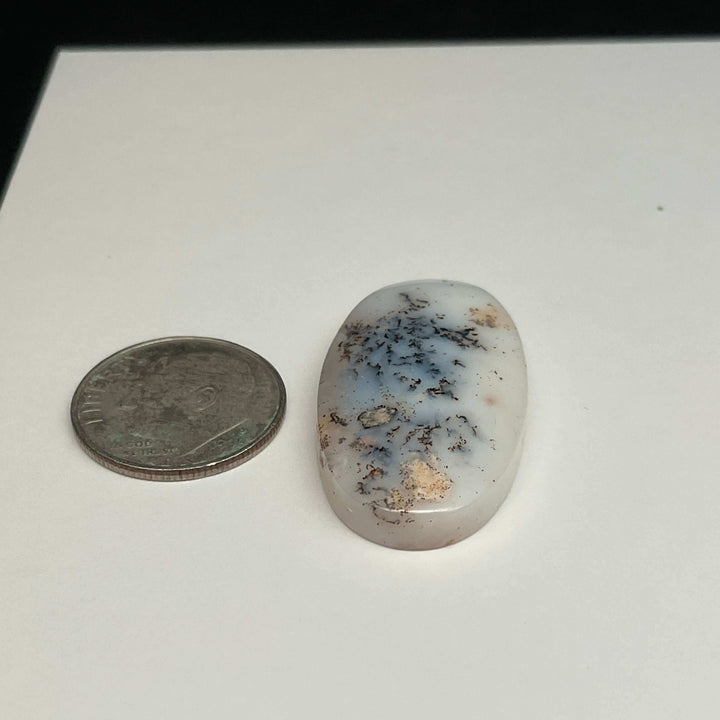 White Dendritic Opal Cabochons