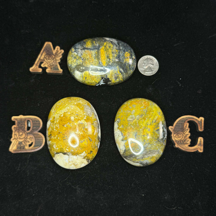 Bumblebee Jasper Palm Stone - Indonesia