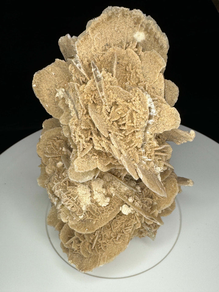 Sand Selenite Desert Rose Gypsum - Mexico