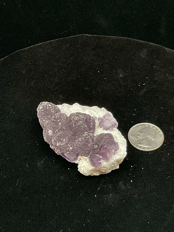 Purple Fluorite on Quartz - La Lupita, Mexico