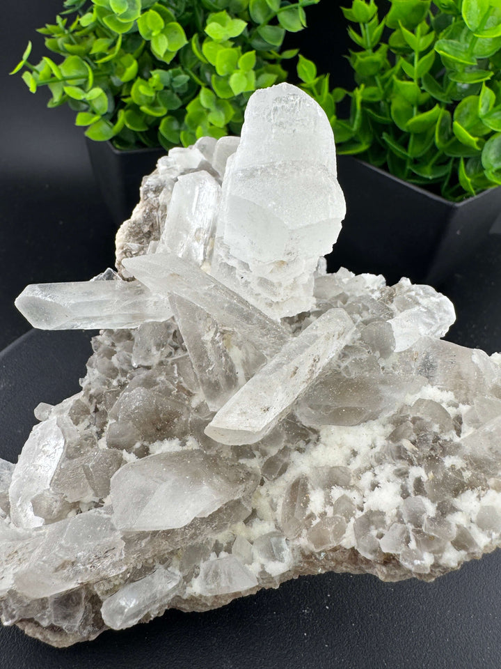 "Fishtail" Selenite /  Gypsum Specimen - Sierra Mojada, Mexico