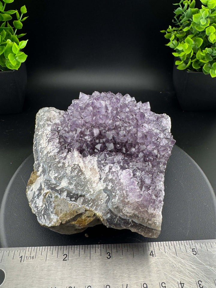 Amethyst Cluster - Uruguay
