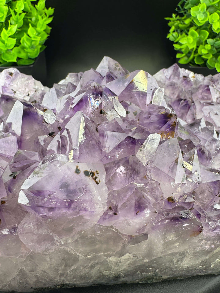 Amethyst Cluster with Golden Rutile - Brazil