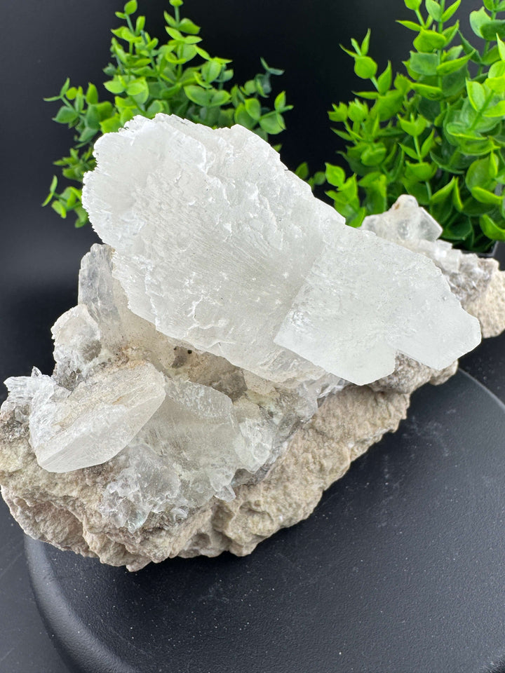 "Fishtail" Selenite /  Gypsum Specimen - Sierra Mojada, Mexico