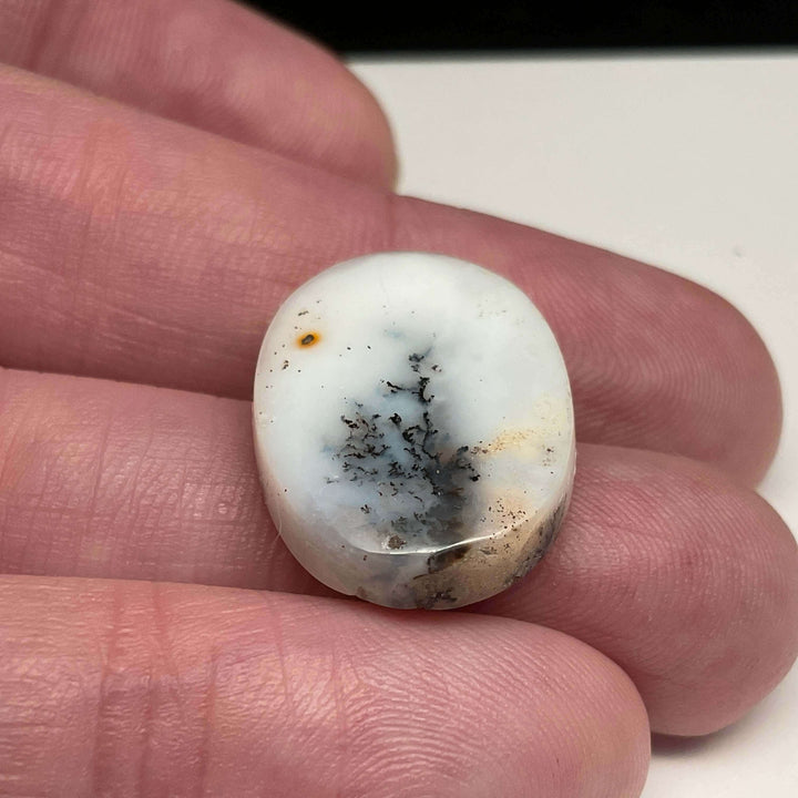 White Dendritic Opal Cabochons