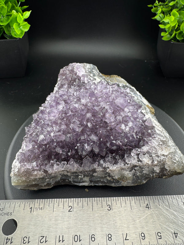 Amethyst Cluster - Uruguay