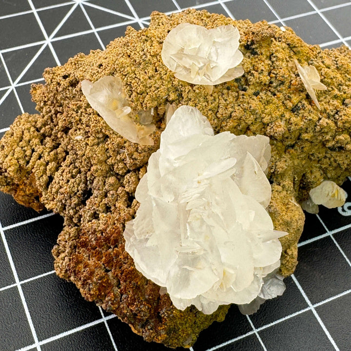 "Mouse Ear" Calcite - Mexico