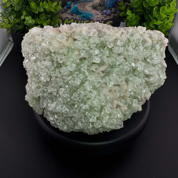 Apophyllite w/ Stilbite Specimen - India