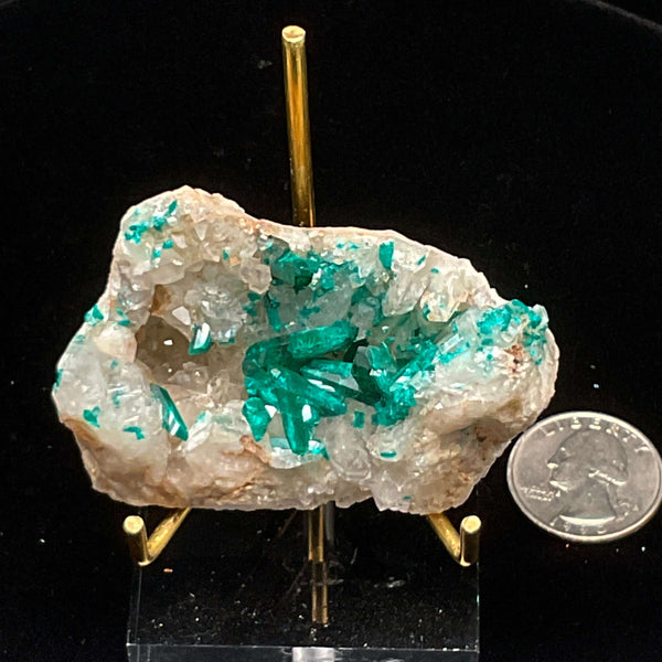 Dioptase on Quartz Specimen - Namibia